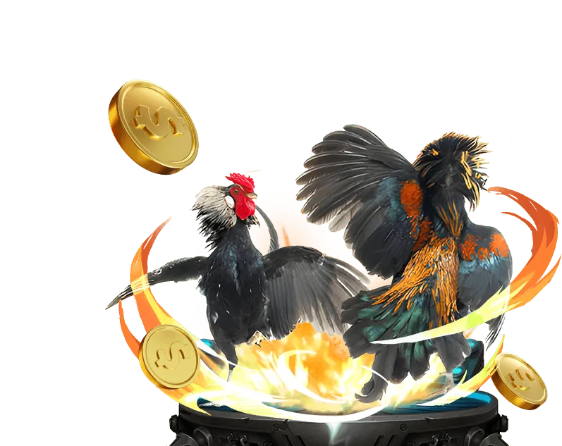 Lợi ích khi chơi đá gà tại Fun88
